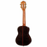 Укулеле Flight Diana CE Concert Ukulele Flight Diana CE Concert Ukulele