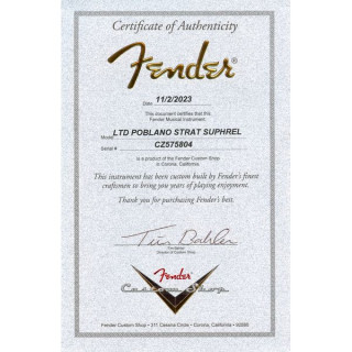 Fender Poblano Strat SHR AB