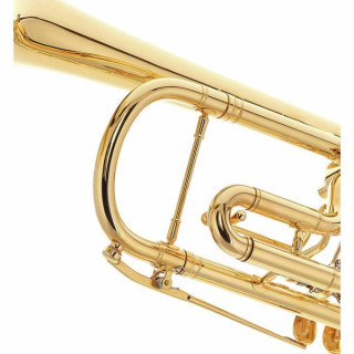 Петер Оберраух Флоренция, ГТО. Bb 11,20 GP 0,45 Peter Oberrauch Firenze Trp. Bb 11,20 GP 0,45