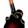 Мандолина The Loar LM-700 F-Mandolin VS The Loar LM-700 F-Mandolin VS
