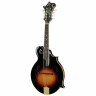 Мандолина The Loar LM-700 F-Mandolin VS