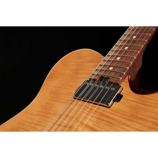 Электрогитара Harley Benton Fusion-T HH Roasted FNT