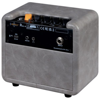 Ортега PTWO-E Ortega PTWO-E