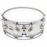 DW 14"x05" Отделочный слой из клена-ловушки DW 14"x05" Finish Ply Snare Maple