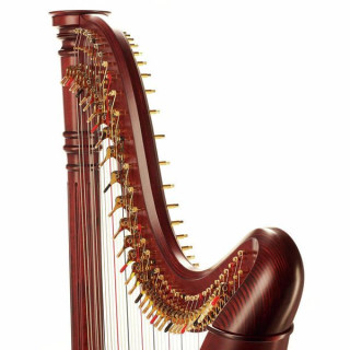 Сальви Ана Делюкс из красного дерева Salvi Ana Deluxe Mahogany