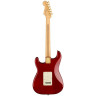 Крыло Tash Sultana Stratocaster TC Fender Tash Sultana Stratocaster TC
