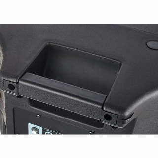 МУРАВЬИНЫЙ красный огонь 12 ANT Redfire 12