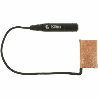 Дэвид Гейдж Реалист- бас-гитарист Copperhead David Gage The Realist Bass Copperhead