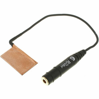 Дэвид Гейдж Реалист- бас-гитарист Copperhead David Gage The Realist Bass Copperhead