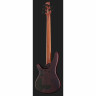 Ibanez SRH505F-мастерская бас-гитары NNF Ibanez SRH505F-NNF Bass Workshop