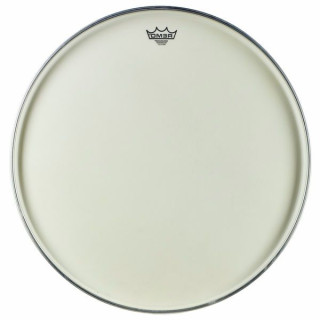 Ремо 24 Посол Ренессанса Бас Remo 24 Renaissance Ambassador Bass