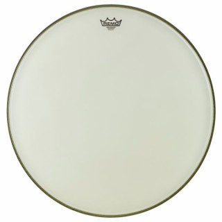 Ремо 24 Посол Ренессанса Бас Remo 24 Renaissance Ambassador Bass