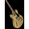 Harley Benton HB-35Plus Shoreline Gold Набор №580989 Harley Benton HB-35Plus Shoreline Gold Bundle №580989