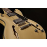 Harley Benton HB-35Plus Shoreline Gold Набор №580989 Harley Benton HB-35Plus Shoreline Gold Bundle №580989