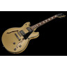 Harley Benton HB-35Plus Shoreline Gold Набор №580989 Harley Benton HB-35Plus Shoreline Gold Bundle №580989