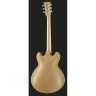 Harley Benton HB-35Plus Shoreline Gold Набор №580989 Harley Benton HB-35Plus Shoreline Gold Bundle №580989
