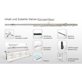Юпитер JFL700RE-CBOX Флейта Jupiter JFL700RE-CBOX Flute