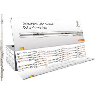 Юпитер JFL700RE-CBOX Флейта Jupiter JFL700RE-CBOX Flute