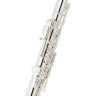 Флейта Fliphead Flute Bundle FL1-SE AM-1