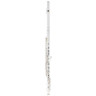 Флейта Fliphead Flute Bundle FL1-SE AM-1