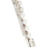 Флейта Fliphead Flute Bundle FL1-SE AM-1