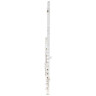 Флейта Fliphead Flute Bundle FL1-SE AM-1