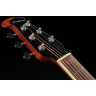 Ovation Ultra 1516DTD-G от заката до рассвета Ovation Ultra 1516DTD-G Dusk till dawn