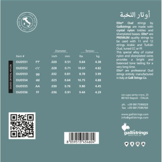 Галли Strings OUD55 Арабская FF Накладка CN Galli Strings OUD55 Arabic FF Tuning CN
