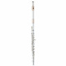 Флейта Powell Sonare PS 905 CEF Powell Sonare PS 905 CEF Flute