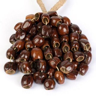 Сela Seed Shaker 6-Row Pala Sela Seed Shaker 6-Row Pala