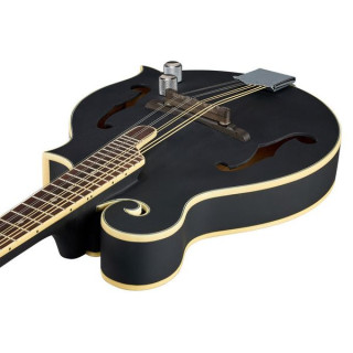 Гитары Luna BGM Moon F Мандолина BK Luna Guitars BGM Moon F Mandolin BK