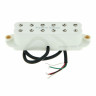 Пергамент Сеймура Дункана SL59-1B Seymour Duncan SL59-1B Parchment