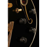 DAngelico Excel SS Однотонный черный DAngelico Excel SS Solid Black