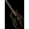 DAngelico Excel SS Однотонный черный DAngelico Excel SS Solid Black