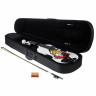 Набор для скрипки Thomann Rainbow 4/4 Thomann Rainbow Violin Set 4/4