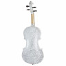 Набор для скрипки Thomann Rainbow 4/4 Thomann Rainbow Violin Set 4/4