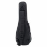 Укулеле Cascha HH2348 Acacia Concert Ukulele Cascha HH2348 Acacia Concert Ukulele