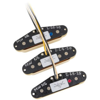 Сет грифов Fender Ancho Poblano Stratocaster Fender Ancho Poblano Strat Set