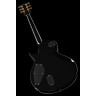 Электрогитара ESP LTD EC-1000 Black