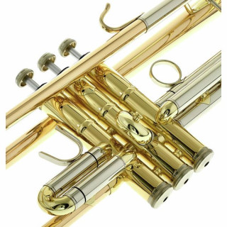 B&S 3143/2GLB-L Challenger II GM B&S 3143/2GLB-L Challenger II GM