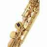 Саксофон Yanagisawa S-WO2 Soprano Sax Yanagisawa S-WO2 Soprano Sax