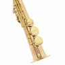 Саксофон Yanagisawa S-WO2 Soprano Sax Yanagisawa S-WO2 Soprano Sax
