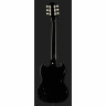 Epiphone SG Стандартное черное дерево Epiphone SG Standard Ebony
