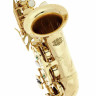 Изогнутый саксофон-сопрано Thomann TCS-350 Thomann TCS-350 Curved Soprano Sax