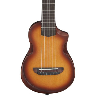 Акустическая гитара Ibanez AUP10N-OLB
