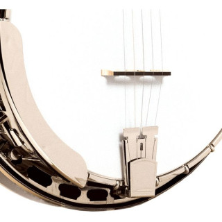 Золотое 5-струнное банджо с цветами апельсина Gold Tone 5-String Orange Blossom Banjo