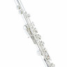Флейта Azumi AZ-S2 RBI Flute Azumi AZ-S2 RBI Flute