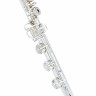 Флейта Azumi AZ-S2 RBI Flute Azumi AZ-S2 RBI Flute