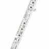 Флейта Azumi AZ-S2 RBI Flute Azumi AZ-S2 RBI Flute
