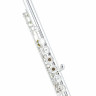 Флейта Azumi AZ-S2 RBI Flute Azumi AZ-S2 RBI Flute